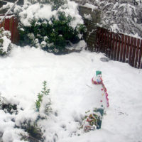 zima v zahradě, sněhulák